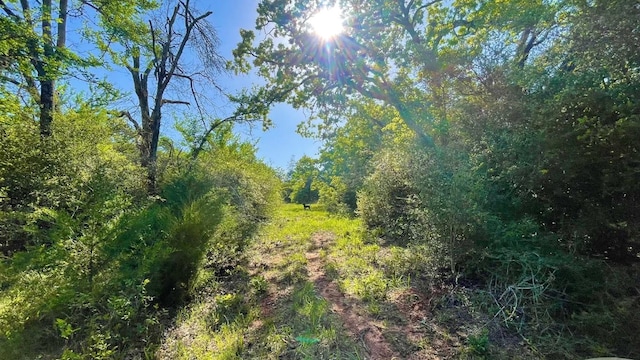 2876 Grant Prairie Rd Unit 75.7, Acres Franklin, TX 77856 - photo 16