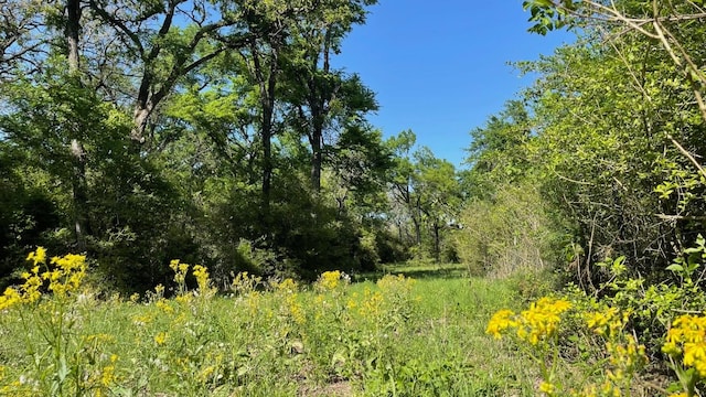 2876 Grant Prairie Rd Unit 75.7, Acres Franklin, TX 77856 - photo 17