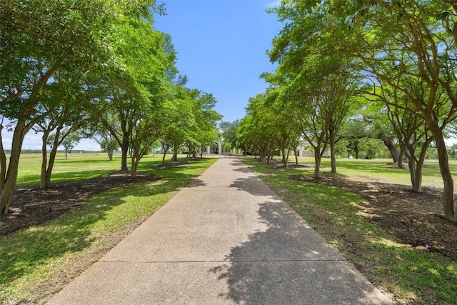 10051 Darden Hill Rd, Austin, TX 78737 - photo 7