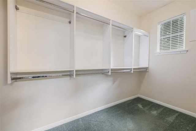 287 Red Poppy Trl, Georgetown, TX 78633 - walk in closet featuring dark colored carpet