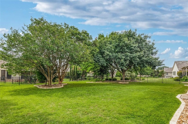 287 Red Poppy Trl, Georgetown, TX 78633 - view of yard