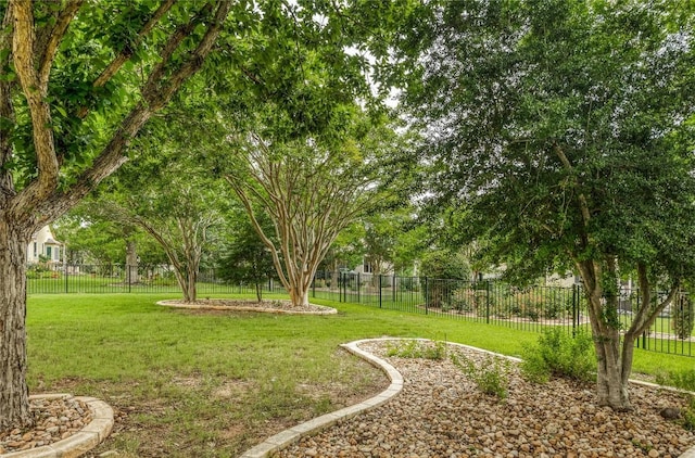 287 Red Poppy Trl, Georgetown, TX 78633 - view of yard