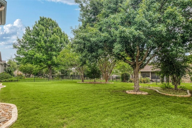 287 Red Poppy Trl, Georgetown, TX 78633 - view of yard