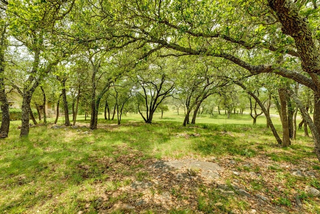 201 Thomas Ridge Rd, Burnet, TX 78611 - view of undeveloped land