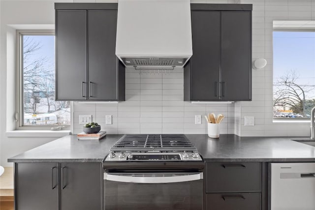 700 Denson Dr Unit 2101, Austin, TX 78752 - kitchen featuring appliances with stainless steel finishes, custom range hood, and gray cabinets