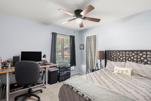 907 Cactus Dr, Round Rock, TX 78681 - photo 21
