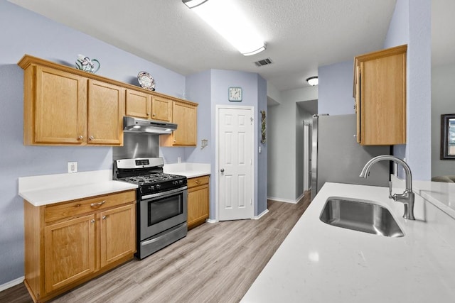 1803 Wallin Loop, Round Rock, TX 78664 - kitchen with appliances with stainless steel finishes, under cabinet range hood, a sink, light countertops, and light wood-style flooring