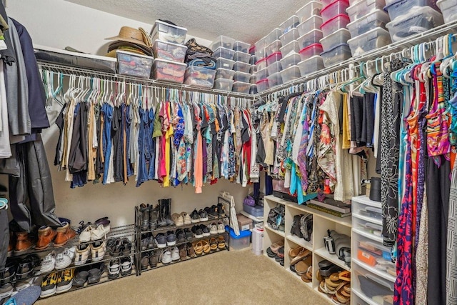 3502 Blackstone Run, San Antonio, TX 78259 - spacious closet with carpet
