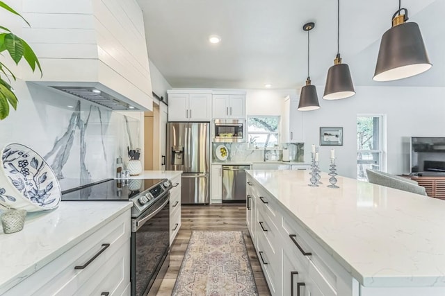 1174 Desiree St, Canyon Lake, TX 78133 - kitchen with appliances with stainless steel finishes, custom exhaust hood, wood finished floors, white cabinetry, and light stone countertops