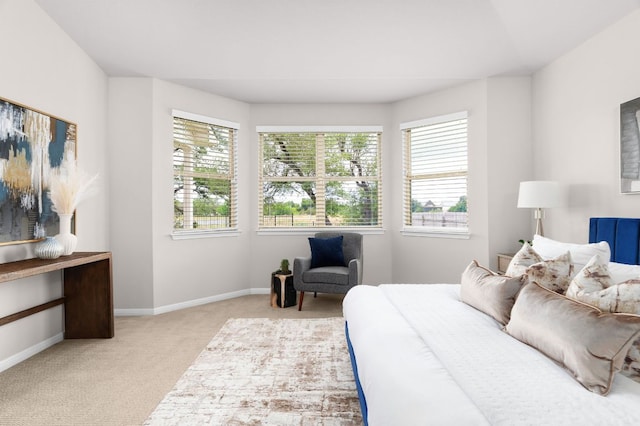 299 Diamond Point Dr, Dripping Springs, TX 78620 - bedroom with light carpet and multiple windows