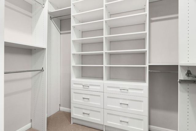 299 Diamond Point Dr, Dripping Springs, TX 78620 - walk in closet featuring light carpet