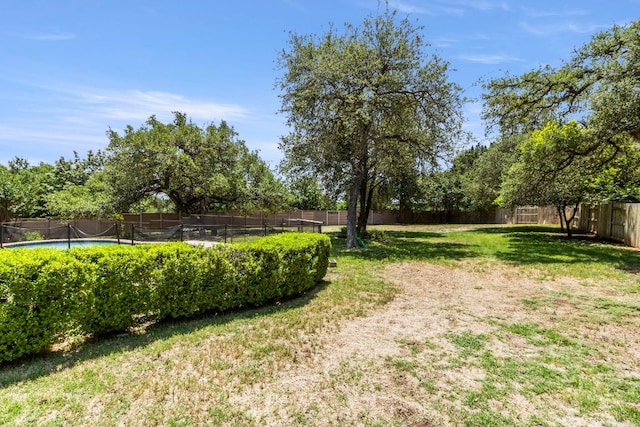 9501 Aire Libre Dr, Austin, TX 78726 - view of yard