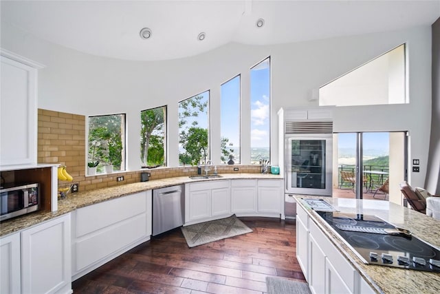 13902 Panorama Dr, Austin, TX 78732 - kitchen featuring appliances with stainless steel finishes, plenty of natural light, white cabinets, and high vaulted ceiling