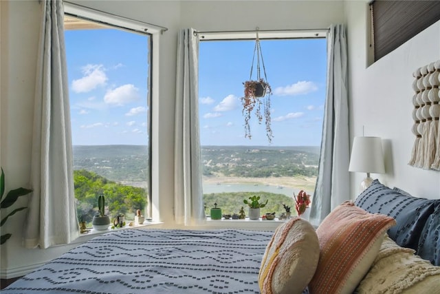 13902 Panorama Dr, Austin, TX 78732 - bedroom with a water view