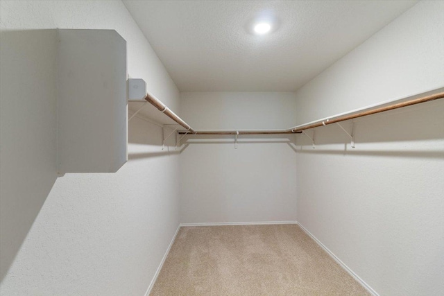 109 Falco Ln, San Marcos, TX 78666 - photo 15