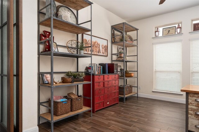 1225 Grassy Field Rd, Austin, TX 78737 - storage with a ceiling fan