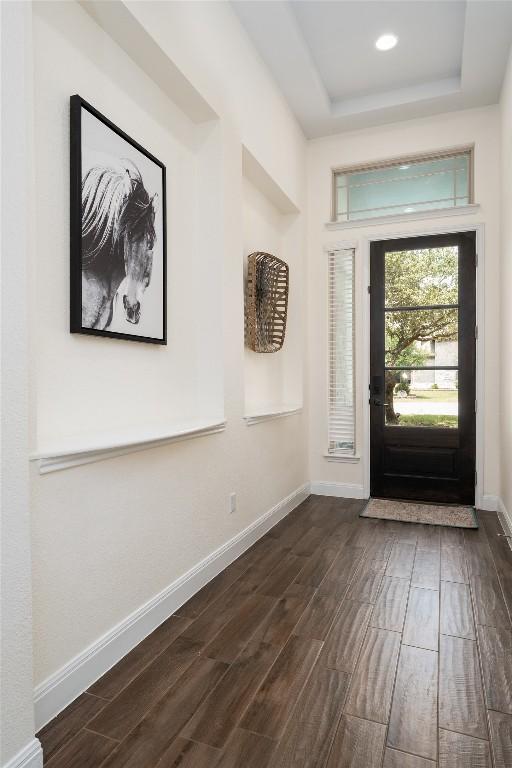 1225 Grassy Field Rd, Austin, TX 78737 - entrance foyer with dark wood-style flooring, a tray ceiling, and baseboards
