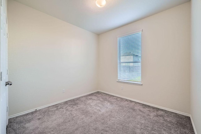 137 Green Egret Way, Leander, TX 78641 - spare room featuring carpet flooring and baseboards