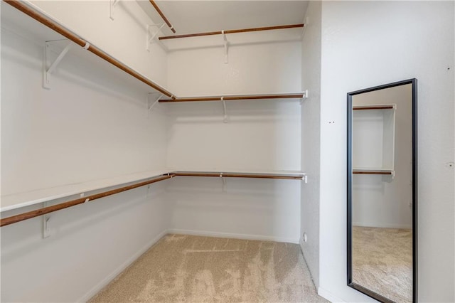 1911 Nelson Ranch Loop, Cedar Park, TX 78613 - walk in closet with light carpet