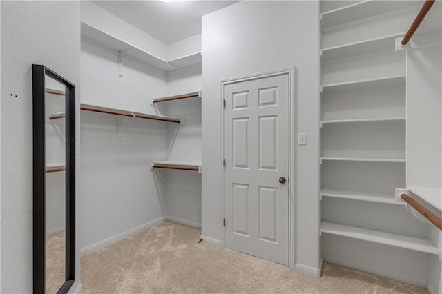 1911 Nelson Ranch Loop, Cedar Park, TX 78613 - walk in closet featuring carpet flooring