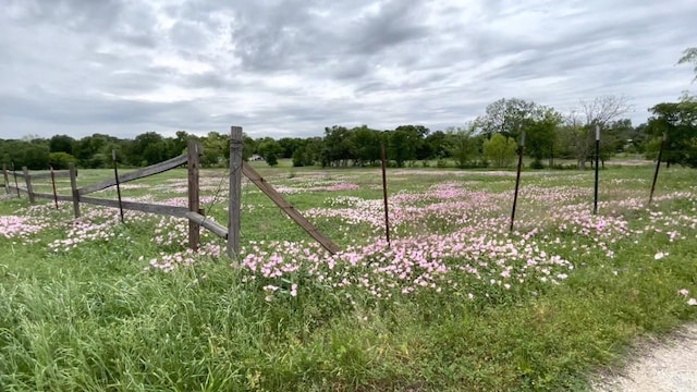 5001 Blue Bluff Rd, Austin, TX 78724 - view of yard