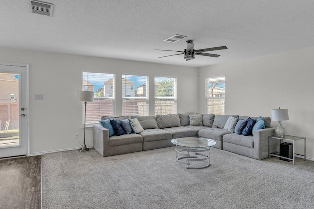 18909 James Carter Jr St, Manor, TX 78653 - living room featuring carpet, ceiling fan, and a textured ceiling
