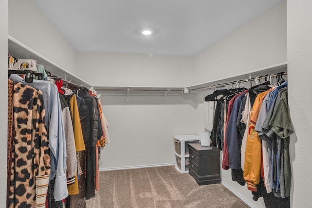 18909 James Carter Jr St, Manor, TX 78653 - spacious closet with carpet floors