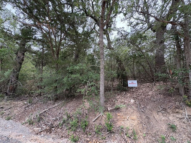 185 Kaaawa Ln, Bastrop, TX 78602
