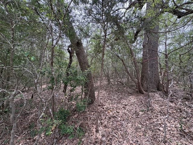 185 Kaaawa Ln, Bastrop, TX 78602