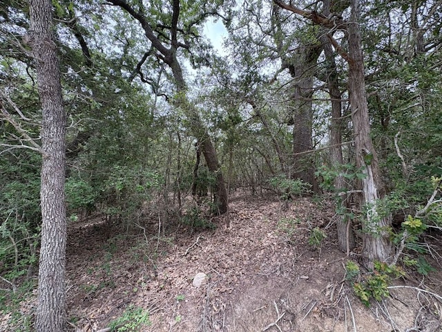 185 Kaaawa Ln, Bastrop, TX 78602