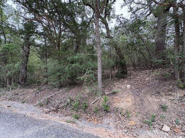 185 Kaaawa Ln, Bastrop, TX 78602