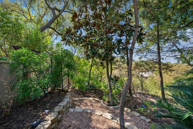 4305 Cliffwood Cir, Austin, TX 78759 - view of yard