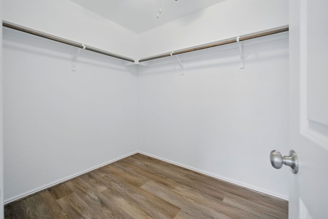601 Sassafras St, Hutto, TX 78634 - walk in closet with wood finished floors