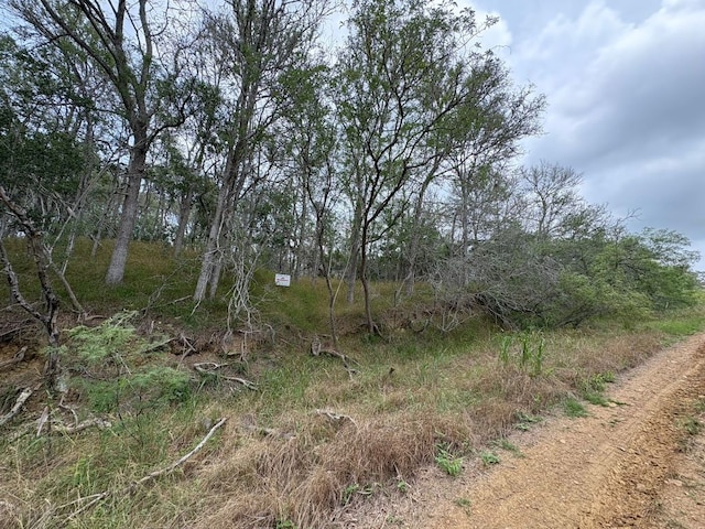 0000 Kaukonahua Ln, Bastrop, TX 78602