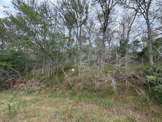 0000 Kaukonahua Ln, Bastrop, TX 78602