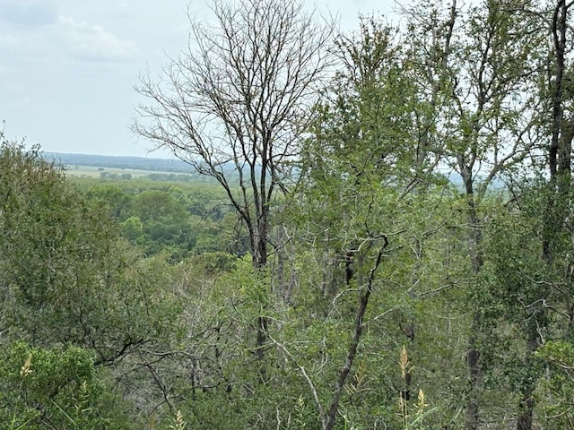 0000 Kaukonahua Ln, Bastrop, TX 78602