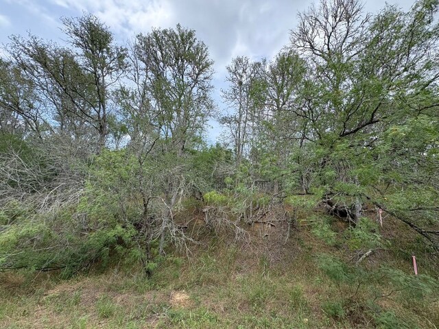 0000 Kaukonahua Ln, Bastrop, TX 78602
