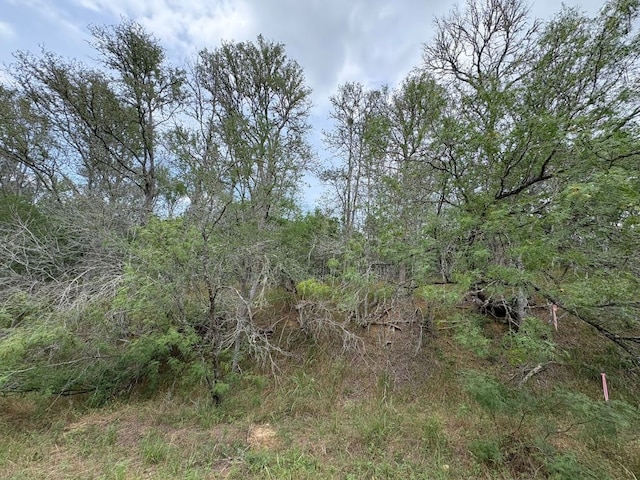 0000 Kaukonahua Ln, Bastrop, TX 78602
