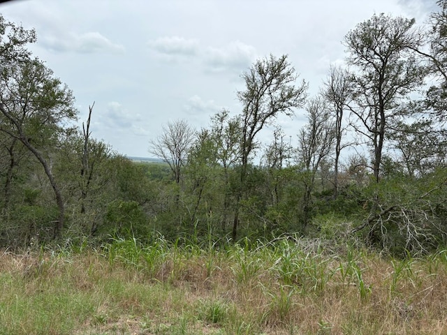 0000 Kaukonahua Ln, Bastrop, TX 78602