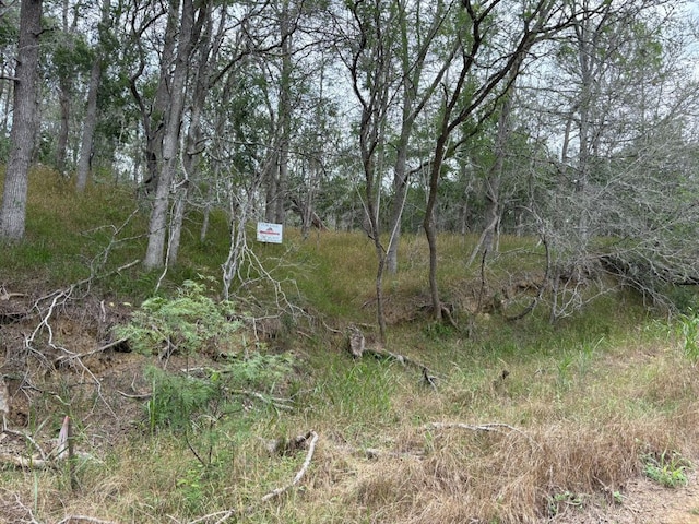 0000 Kaukonahua Ln, Bastrop, TX 78602