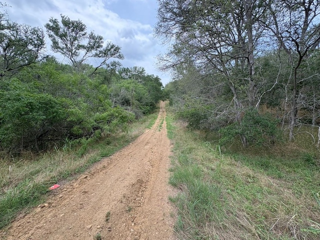 0000 Kaukonahua Ln, Bastrop, TX 78602