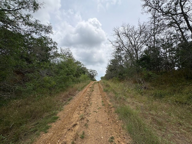 0000 Kaukonahua Ln, Bastrop, TX 78602