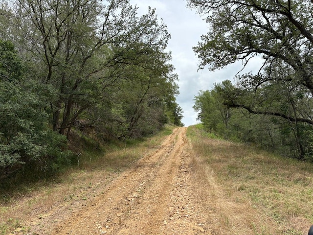 0000 Kaukonahua Ln, Bastrop, TX 78602