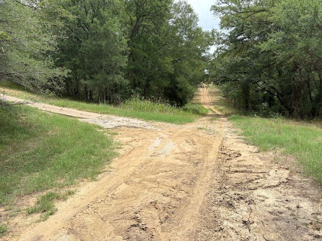 0000 Kaukonahua Ln, Bastrop, TX 78602