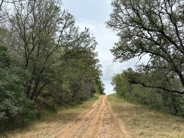 0000 Kaukonahua Ln, Bastrop, TX 78602