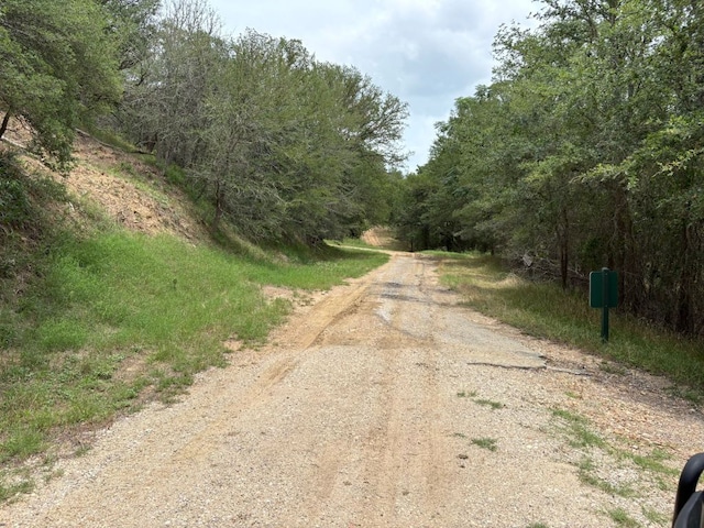 0000 Kaukonahua Ln, Bastrop, TX 78602