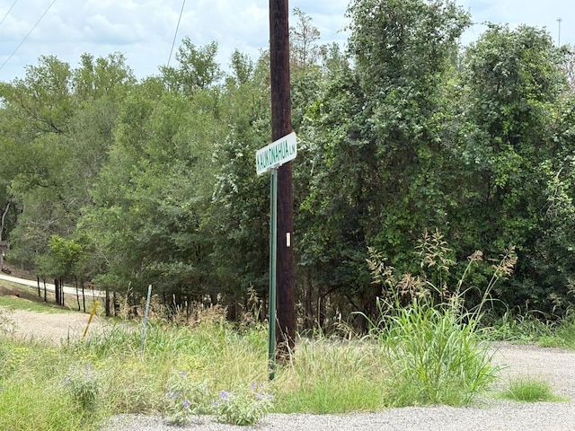 0000 Kaukonahua Ln, Bastrop, TX 78602