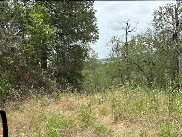 0000 Kaukonahua Ln, Bastrop, TX 78602