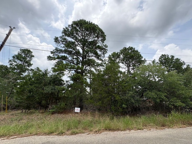 0 Kaelepulu Dr, Bastrop, TX 78602