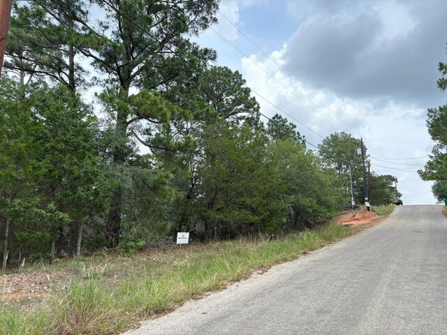 0 Kaelepulu Dr, Bastrop, TX 78602